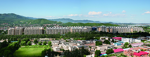 北京西山枫林